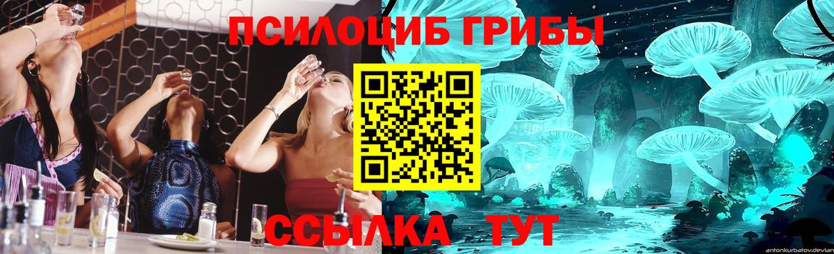 где купить   Галлюциногенные грибы Magic Shrooms  Истра  Вход с VPN  Псилоцибиновые грибы GOLDEN TEACHER 